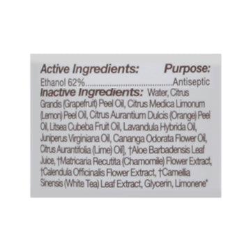 Everyone - Hnd Sntzr Spry Rby Grapefruit - 1 Each-8 Fz