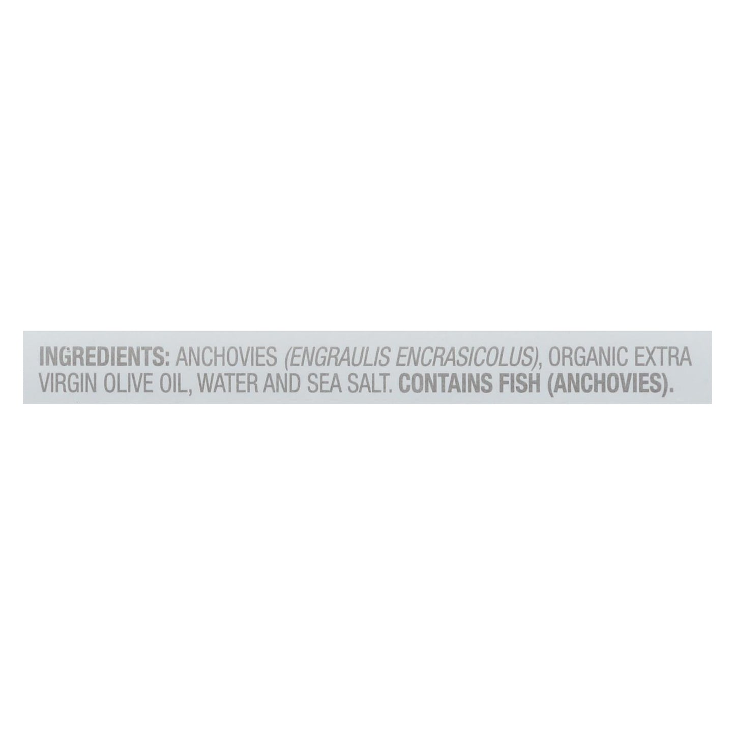 Wild Planet White Anchovies in Olive Oil, 12-Pack, 4.4 oz