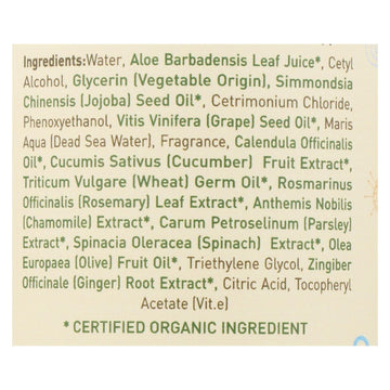 Ecolove Green Veggie Conditioner, All Hair Types, 17.6 Fl Oz