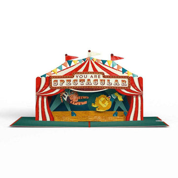 Congrats, You Are Spectacular 5''x7'' Card, Pop-Up Cards