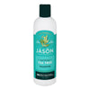 Jason Tea Tree Purifying Shampoo - 12 oz