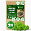 Premium Dried Parsley Leaves – 100% Pure, Non-GMO, Gluten-Free, Vegan – Aromatic Culinary Herb for Cooking, Garnish, and Seasoning