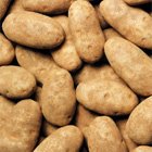 IDAHO POTATOES Russet Idaho Potatoes, Fresh Premium Produce, 4 Pound Case