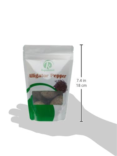 Kopabana Jumbo Organic Alligator Pepper Alligator Pepper, Mbongo Spice | Pepper Spice |Ataare |Guinea Pepper | Alligator Pepper