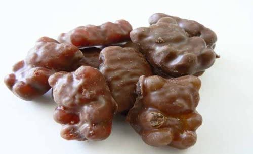 The Nutty Fruit House Milk Chocolate Covered Gummy Bears 1 Pound Bag