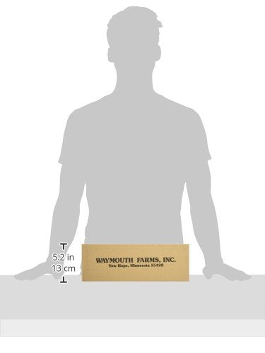 Good Sense Roasted And Salted Shelled Pumpkin Seeds, 72 Ounce (Pack Of 12)