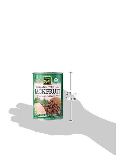 Native Forest Organic Vegan Meat Substitute Young Jackfruit 14 Ounce (Pack of 24)