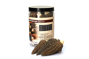 Oregon Mushrooms Dried Morel Mushrooms 1 lb. - Premium Quality Edible Fungi, Pack of 1