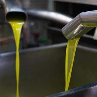 Liokareas Rosemary Extra Virgin Olive Oil - Cold Pressed - 8.45 Fl Oz - NON-GMO - First Pressed