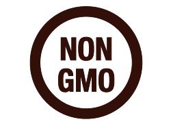 Black Tai Salt Co. Brand 2 Pack of 100% Himalayan Salt Detox 4x8x2 Foot Bricks