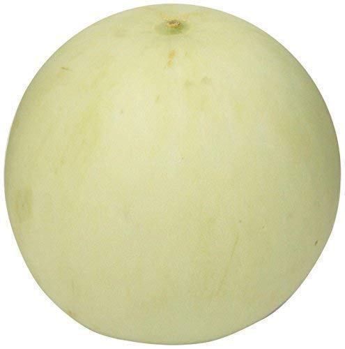 Honeydew Melon, 1 Each