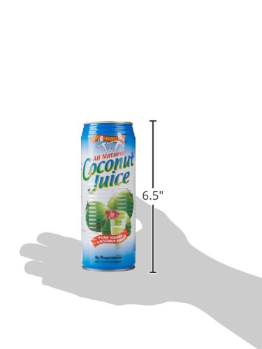 Amy & Brian Juice Coconut Yng No Pulp, 17.5 Fo, Pk- 12