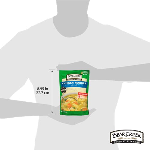 BEAR CREEK Chicken Noodle Soup Mix, 9.3 Ounce, Pack of 1, Model 81900032Disco