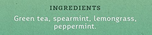 Stash Tea Moroccan Mint Green Tea, Box Of 100 Tea Bags (Packaging May Vary)