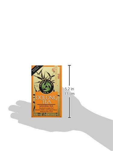 Triple Leaf Tea, Inc Tea, Oolong, 20-Count (Pack of 6)