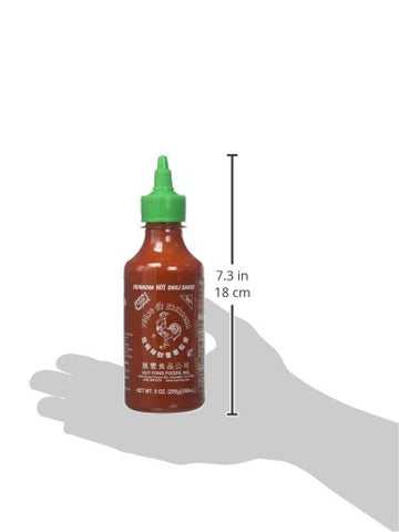 Huy Fong, Sriracha Hot Chili Sauce, 9 Ounce Bottle (10 Pack)