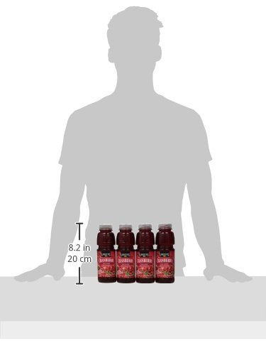 Langers Juice Cocktail Cranberry, 15.2 Fl Oz, Pack of 12