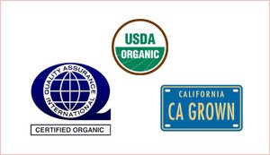 Golden California Figs 9Oz(Pack Of 2)