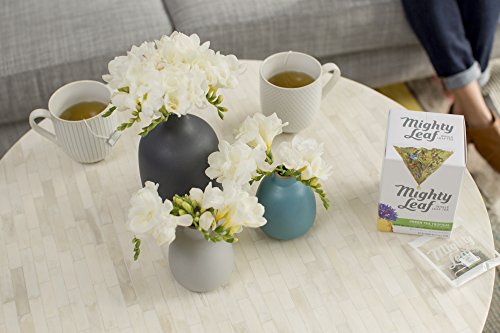 Mighty Leaf, Green Tea Tropical, Tea Bags, 15 Ct