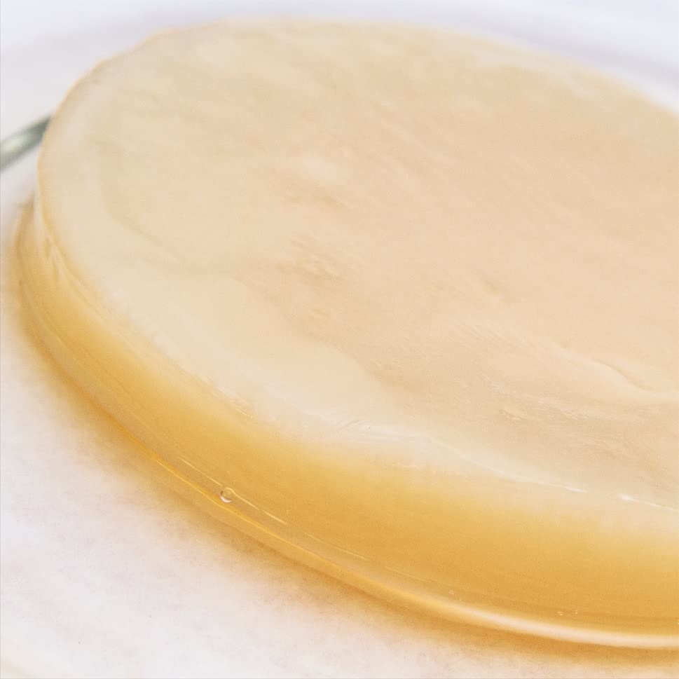 Kombucha.Com Certified Organic Jun Kombucha Scoby (Honey) + Super Strong Starter Liquid. 8 Oz. Makes 1/2 Or 1 Gallon. Includes F