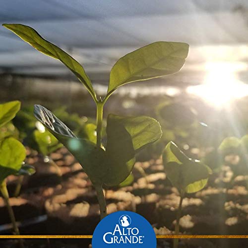 Alto Grande Super Premium Coffee Ground 8.8Oz (9-Cans)