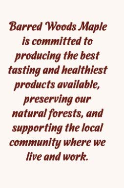 BARRED WOODS Vermont Maple Cider Syrup - Pure Maple Syrup Blended with Apple Cider - 22.3 cm
