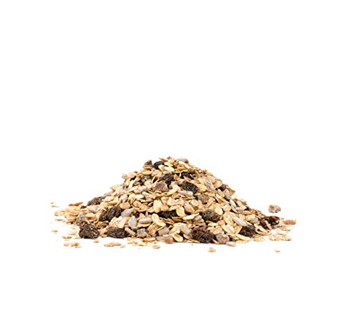 Bobs Red Mill Old Country Style Muesli 18 oz (Two Pack) - Whole Grain Hot or Cold Breakfast Cereal - 2 Pack Muesli (18 oz bags,