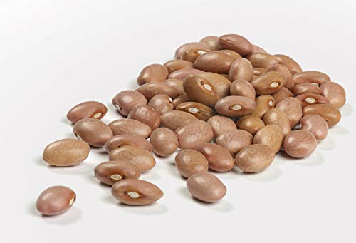 Camellia Brand Dried Pink Beans, 1 Pound (Pack Of 2)