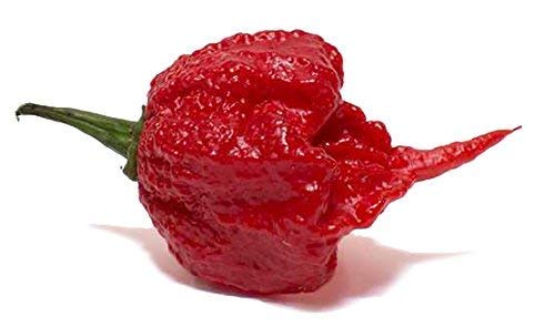 Elijahs Xtreme Carolina Reaper Hot Pepper Sauce, Sweet Black Cherries & Cranberries, 5 oz, 2-Pack