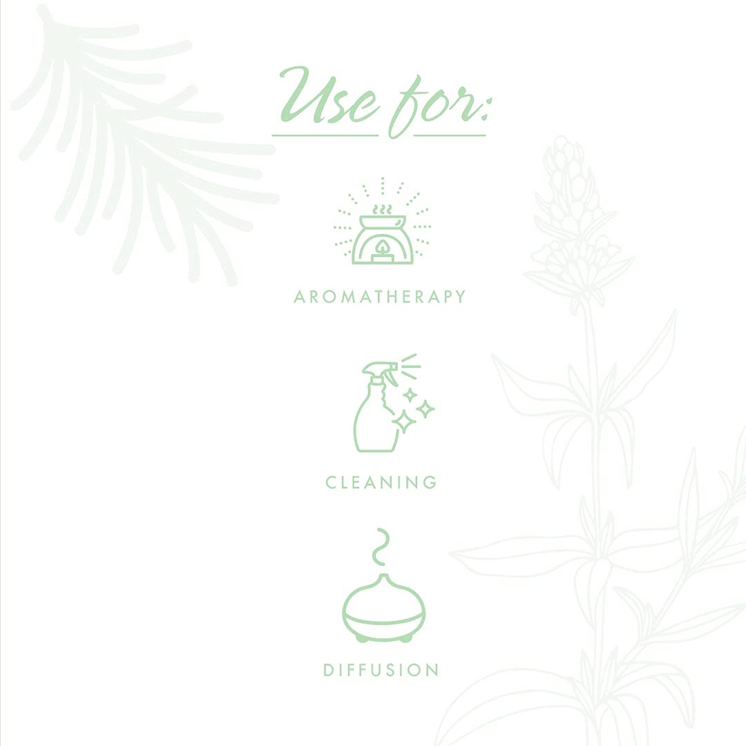 Now Essential Oils, Clear The Air Oil Blend, Purifying Aromatherapy Scent, Blend Of Pure Essential Oils, Steam Distilled, Vegan, Child Resistant Cap, 1-Ounce