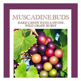 Butterfields G Muscadine g -flavored Hard Candy, 3 Oz. Pack of 3, Copper