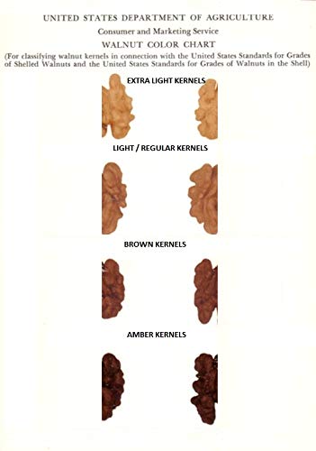 3P Amson Kashmiri Brown Quarter Walnut Kernels Without Shell, 4 X 250 G