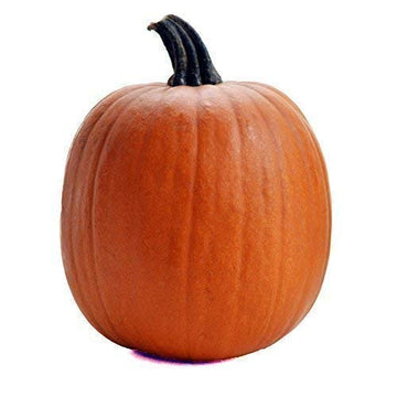 PRODUCE Organic Pumpkin Pie Squash