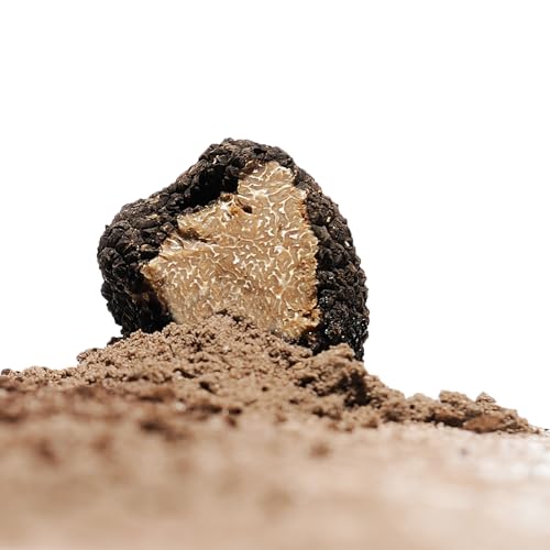 Sabatino Tartufi Truffle Zest Seasoning, The Original All Purpose Gourmet Truffle Powder, Plant Based, Vegan And Vegetarian Friendly, Kosher, Low Carb, Keto, Non Gmo Project Certified, 5.29 Oz