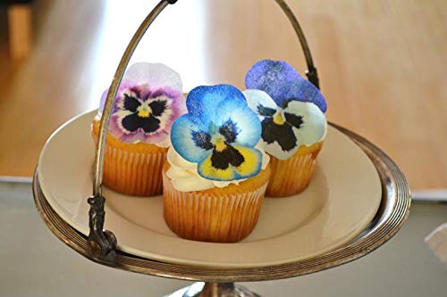 Sugar Robot Inc. Edible Pansies for Cake Decorating - Set of 12 - Small - 2.5 inches x 2.5 inches - Blue