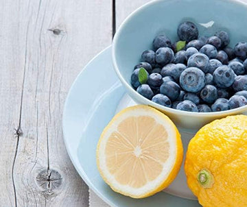 Lark Ellen Farm Lemon Blueberry Grain Free Granola Organic, Raw Sprouted Certified Organic Low Sugar Vegan Granola Clusters, Pal