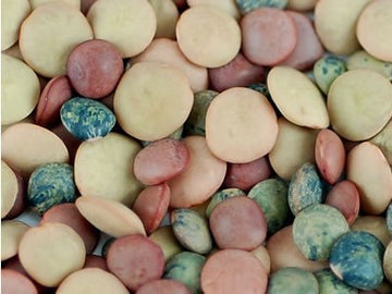 Crunchy Lentil Fest Sprouting Seed Mix - 8 Oz - Handy Pantry Brand - Organic - Green, Red & French Lentils- Edible Seeds, Salad, Soup, Sprouts & Food Storage