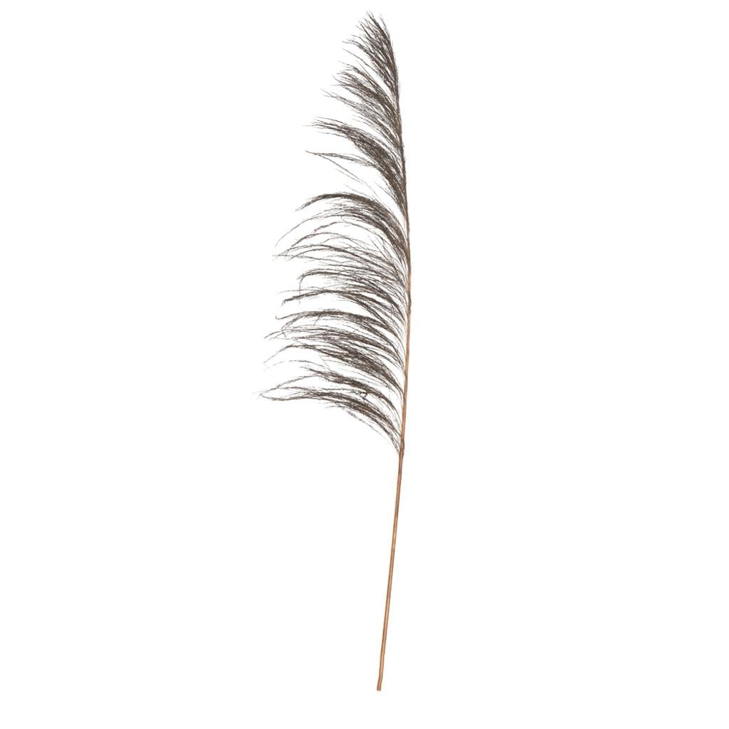 Vickerman 60-72 Black Uva Palm Spray standing between 60 to 72 inches tall. Pack of 10.