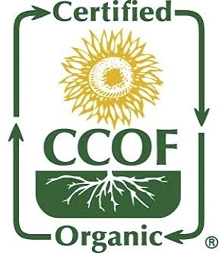 McCabe Organic Popcorn Kernels - Rich in Fiber & Minerals - 5.33 Ounce (Pack of 3) - USDA & CCOF Certified - Product of USA