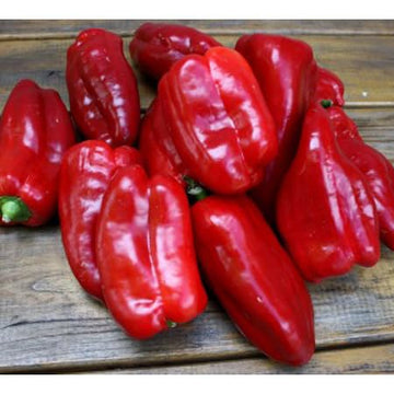 Mediterranean Spice Mixture From Greece, 100G - By Geusi Vounou