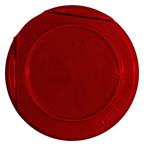 Ac'Cent All Natural Flavor Enhancer, 10 Ounce