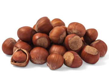 Nuts.Com Oregon Hazelnuts In Shell, Filberts 1 Lb Bag - Whole Raw Jumbo Hazelnuts - Gourmet, Freshly Harvested, Non-Gmo, For Coo