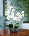 Petals Silkflowers Cream White Phalaenopsis Silk Orchid - 15'' W x 24'' H x 1.5'' D, Realistic Style, 1 Count