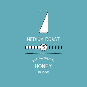 Verve Flash Brew Nitro Coffee, Medium Roast - The Original, 8.1 Fl Oz Cans (Pack Of 6) - Cold Brew, Smooth & Refreshing