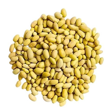 Mayocoba Peruano Dry Beans Frijoles | Bulk (1 Pound)