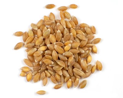 Organic Einkorn Whole Grain Farro Berries, Usa Grown. Gluten Problems Try Einkorn! Non-Gmo. Original And Non-Hybridized, Plasti