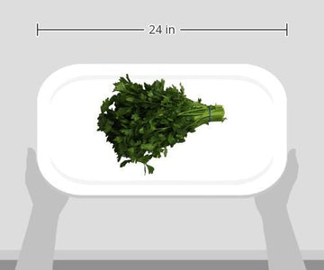 Organic Italian Parsley (Flat Leaf), One Bunch