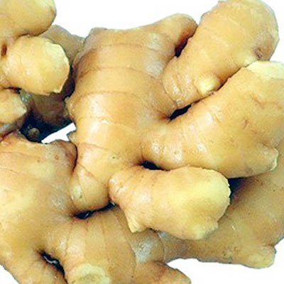 Fresh Wild Turmeric & Ginger Combo 1Lb Each By Nine Shani (20Lb)