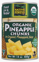 Native Forest 100% Organic Pineapple Chunks - 14 oz