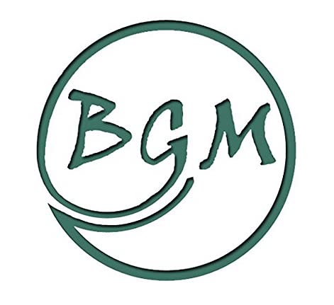 18 Pack BGM Diet Ginger Soda (Pack of 18)